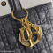 Christian Dior Lady Dior Nylon